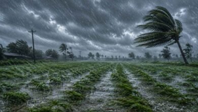 Karnataka Heavy Rainfall: Red Alert Issued For 3 Districts