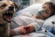 Karnataka Records Second Highest Rabies Deaths in India Despite Drop in Cases