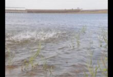 Karnataka Reservoir Levels Remain Below Expectations Despite Improved Monsoon Activity