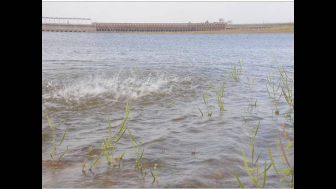 Karnataka Reservoir Levels Remain Below Expectations Despite Improved Monsoon Activity