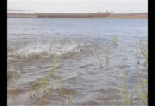 Karnataka Reservoir Levels Remain Below Expectations as KRS Dam Stays Under 100 Feet