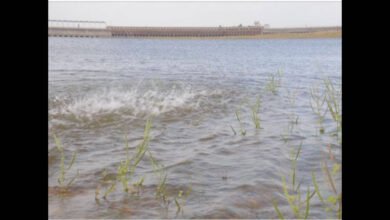 Karnataka Reservoir Levels Remain Below Expectations as KRS Dam Stays Under 100 Feet