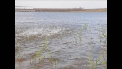 Karnataka Reservoir Levels Stay Below Last Year as Weak Inflows Raise Fresh Concerns