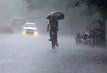 Karnataka Weather Forecast Predicts Rain And Strong Winds In Several Districts Over Next Five Days