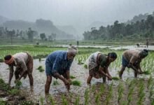 Karnataka Weather Today: Red Alert for Udupi and Dakshina Kannada