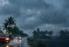 Karnataka Weather Update: Heavy Rain Alert for 8 districts