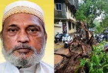 Man Killed After Tree Falls on Shop During Heavy Rains in Mumbai