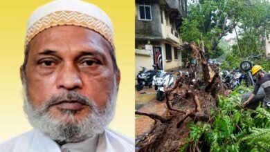 Man Killed After Tree Falls on Shop During Heavy Rains in Mumbai