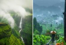 Monsoon Rains Bring Cleaner Air Across Karnataka AQI Improves in Major Cities