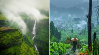 Monsoon Rains Bring Cleaner Air Across Karnataka AQI Improves in Major Cities