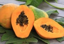 Papaya in Pregnancy Does It Really Cause Miscarriage Doctors Explain the Truth