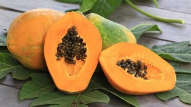 Papaya in Pregnancy Does It Really Cause Miscarriage Doctors Explain the Truth