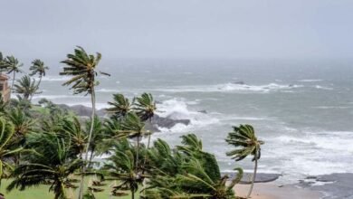 Red Alert Issued for Coastal Karnataka; Schools Shut as Heavy Rain Intensifies