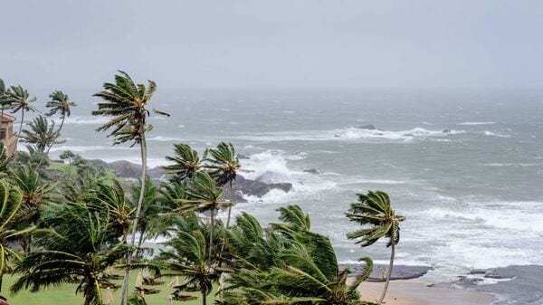 Red Alert Issued for Coastal Karnataka; Schools Shut as Heavy Rain Intensifies