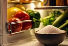 Simple Kitchen Salt Trick Keeps Refrigerator Fresh and Odor Free During Rainy Season