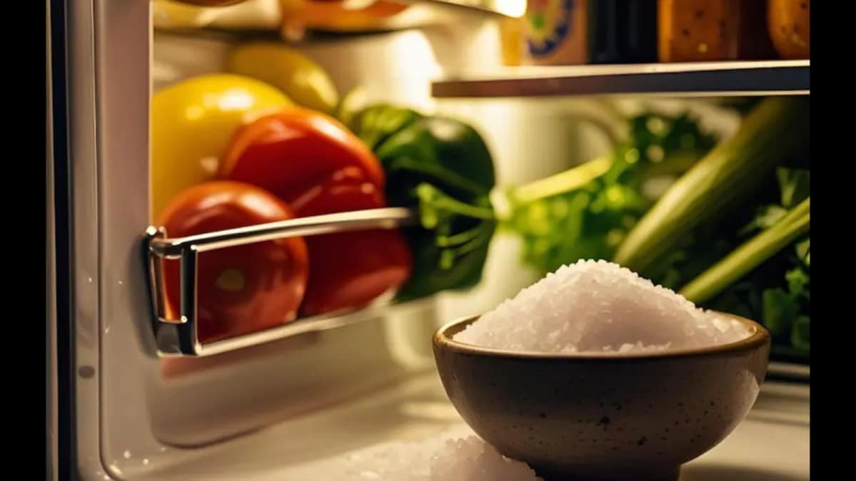 Simple Kitchen Salt Trick Keeps Refrigerator Fresh and Odor Free During Rainy Season