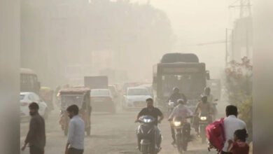 Study Finds Rising Ground Level Ozone Exposure Making Bengaluru Air Increasingly Unsafe