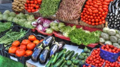 Toxic Elements Found in Bengaluru Vegetables Raises Health Concerns Among Residents