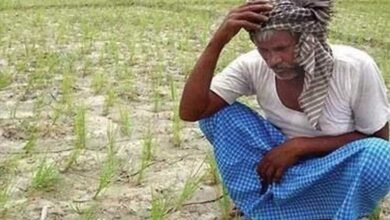 Tungabhadra Canal Water Supply Halted as Rainfall Deficit Deepens Farmers Worries