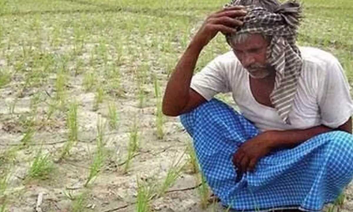 Tungabhadra Canal Water Supply Halted as Rainfall Deficit Deepens Farmers Worries