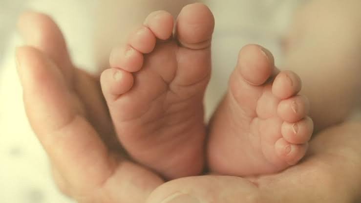 Two Year Old Girl Found Dead In Bengaluru Police Probe Suspicious Circumstances