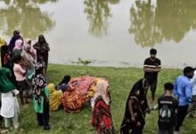 Woman Killed in Crocodile Attack Near Riverbank While Travelling to Wedding in Uttar Pradesh