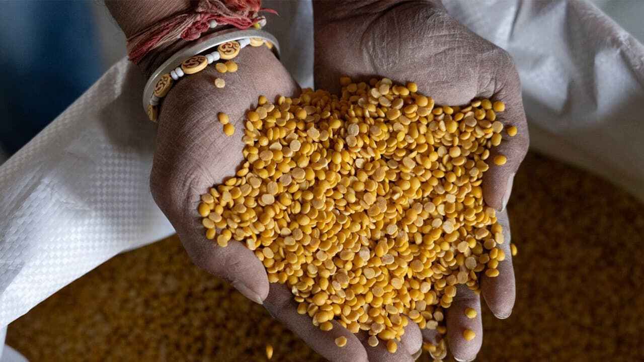 GI Tagged Gulbarga Tur Dal Reaches Maldives Market