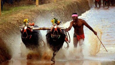Kambala Association Seeks Rs 5 Crore Government Grant