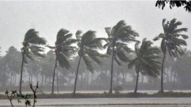 Karnataka Heavy Rainfall: Issued Yellow Alert in 13 Districts