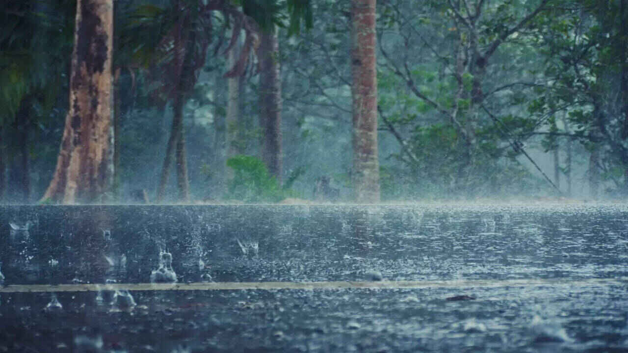 Karnataka Weather Alert as Heavy Rain Forecast for Bengaluru