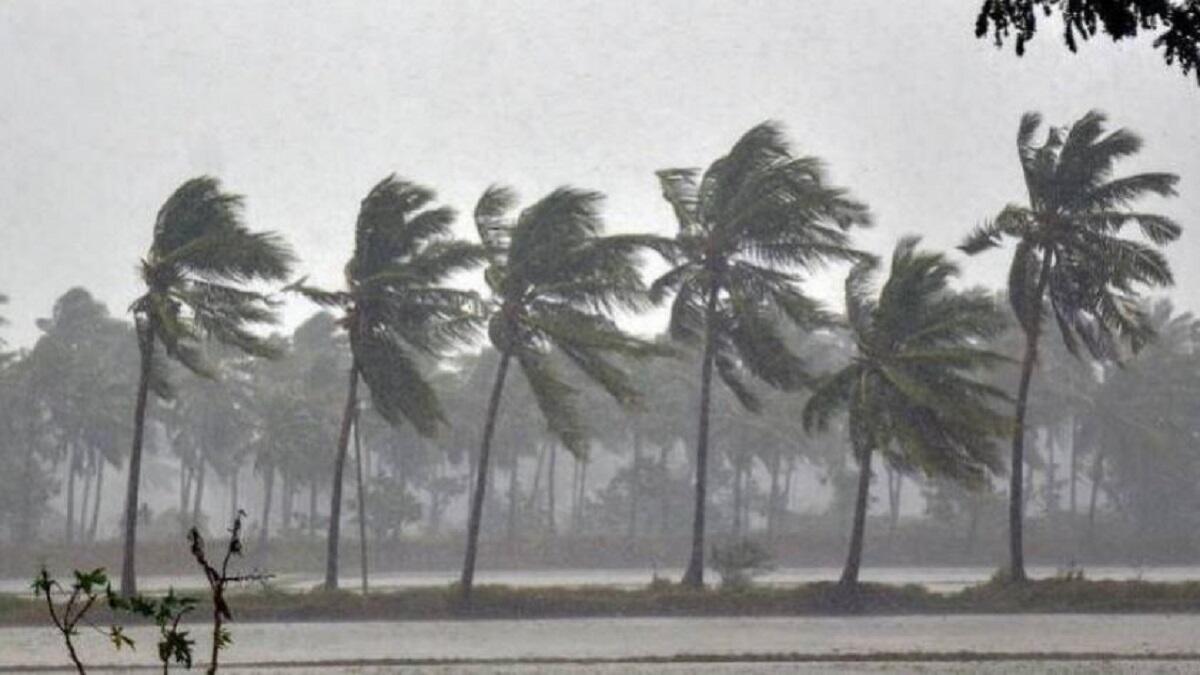 IMD Issued Heavy Rainfall Alert For 11 Districts In Karnataka